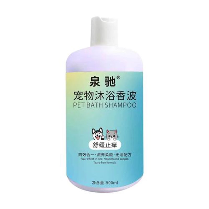 宠物玩具选购指南：让你的毛小孩快乐每一天