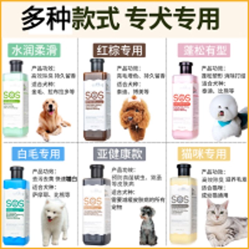宠物零食市场持续火热：趋势与挑战并存