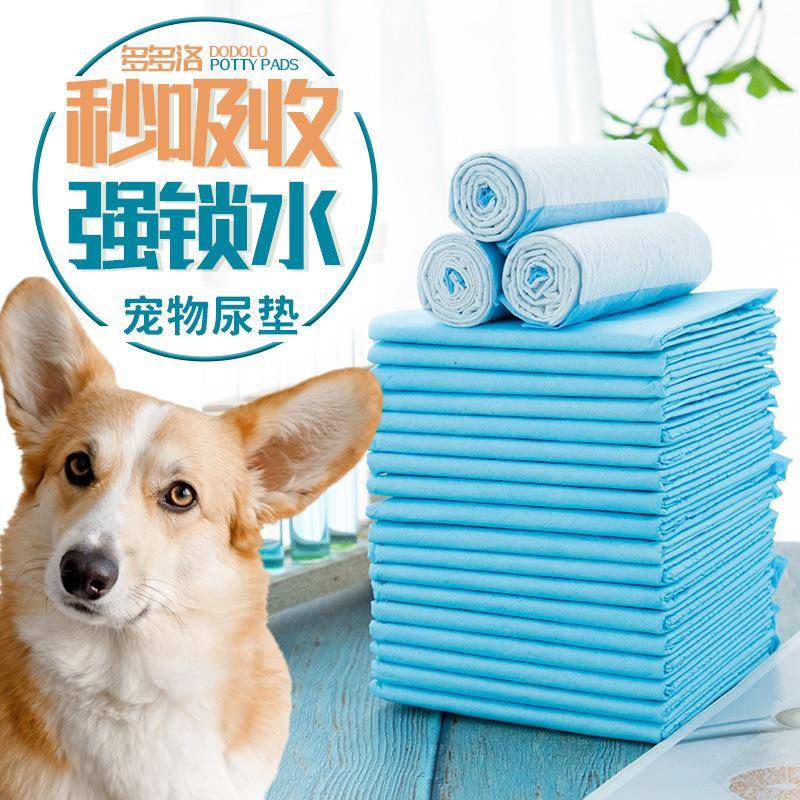 宠物用品批发行业的未来趋势
